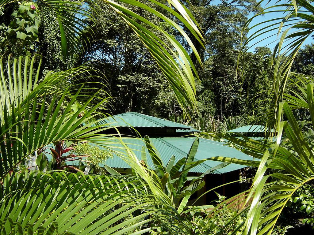 El Colibri Lodge Мансанільйо Екстер'єр фото